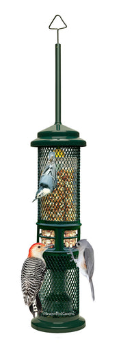 Brome Squirrel Buster Nut Feeder