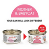 Royal Canin Feline Health Nutrition Mother & Babycat Ultra Soft Mousse in Sauce Canned Cat Food