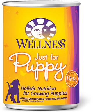 Wellness Complete Health Natural Just for Puppy Chicken and Salmon Recipe Wet Canned Dog Food