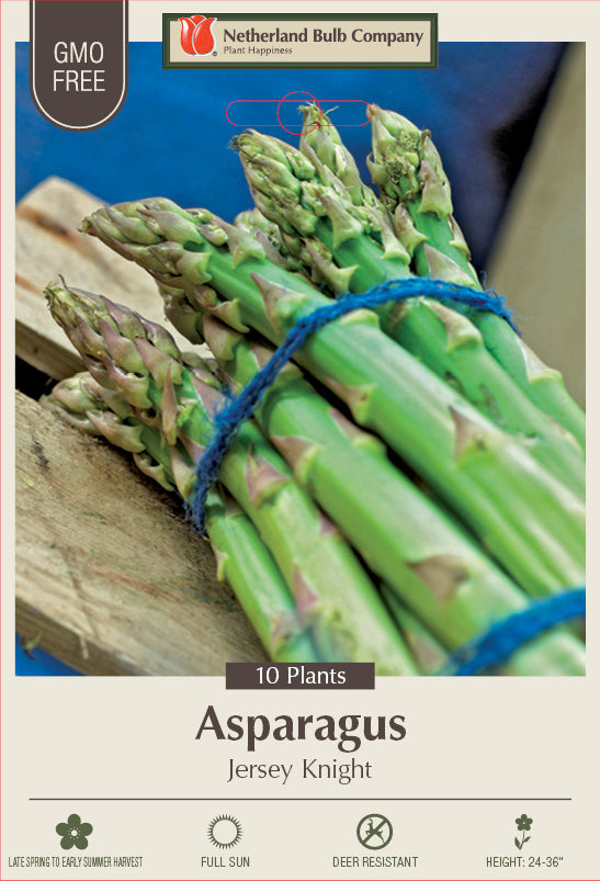 Netherland Bulb Company Asparagus officinalis 'Jersey Knight'
