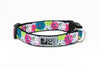 RC PETS CLIP COLLAR - DOG COLLAR