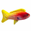 Kittybelles Rainbow Guppy