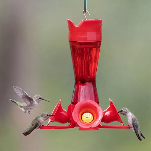 Woodstream Perky-Pet® Pinch-Waist Red Glass Hummingbird Feeder