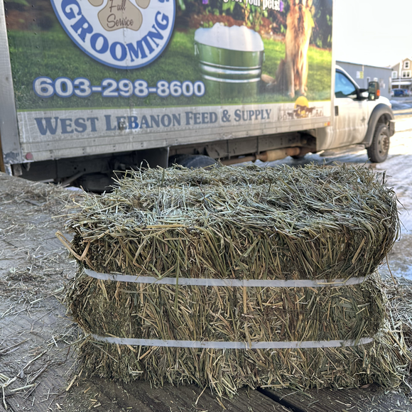 compressed alfalfa cube