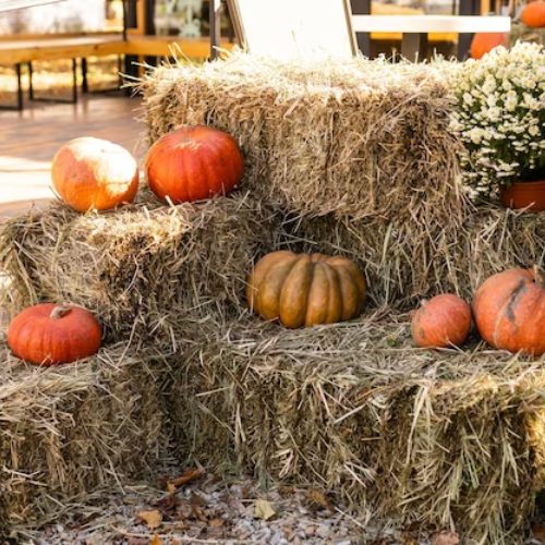 Stacked square bales surrounded by decorative pumpkins