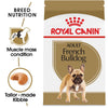 Royal Canin Breed Health Nutrition French Bulldog Adult Dry Dog Food