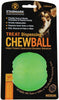 Starmark Treat Dispensing Chew Ball Dog Toy