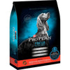 Purina Pro Plan Focus Sensitive Skin & Stomach Formula Lamb & Oat Meal Formula Dry Dog Food