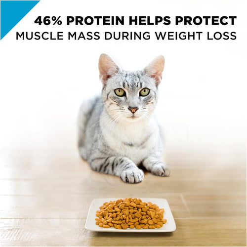 Purina Pro Plan Focus Weight Management Chicken & Rice Formula Adult Dry Cat Food