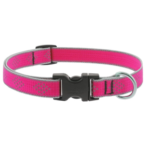 Lupine Pet Reflective Dog Collar