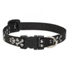 Lupine Pet Original Designs Dog Collar