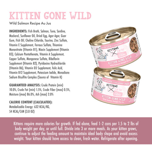 Weruva Kittens in the Kitchen Kitten Gone Wild Wild Salmon Recipe Au Jus