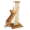 Pioneer Pet Smart Cat The Ultimate Scratching Post