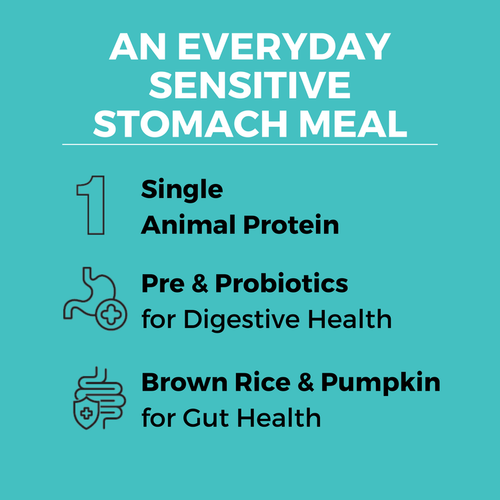 Koha Limited Ingredient Dry Bland Diet Beef & Brown Rice Recipe with Pumpkin for Dogs