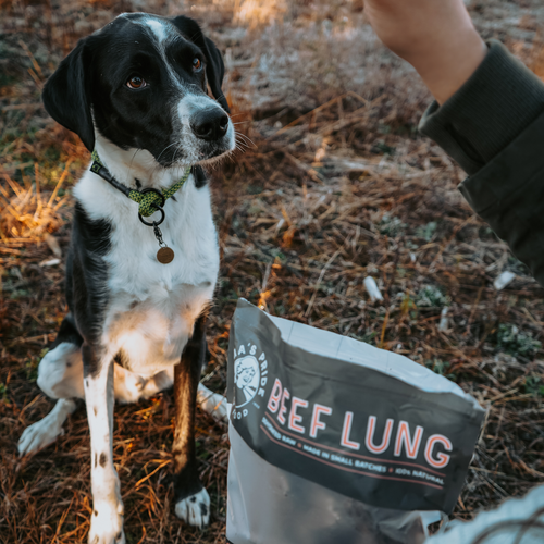 Oma's Pride Beef Lung Treats