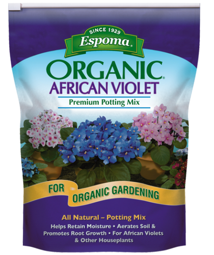 African Violet Mix