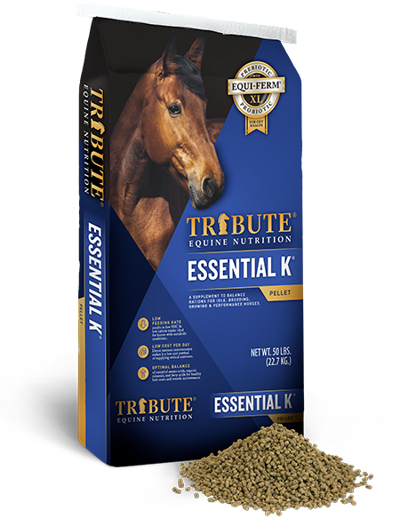 Tribute Essential K®