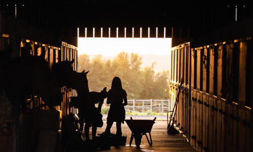 Silhouette of family working inside of a horse barn