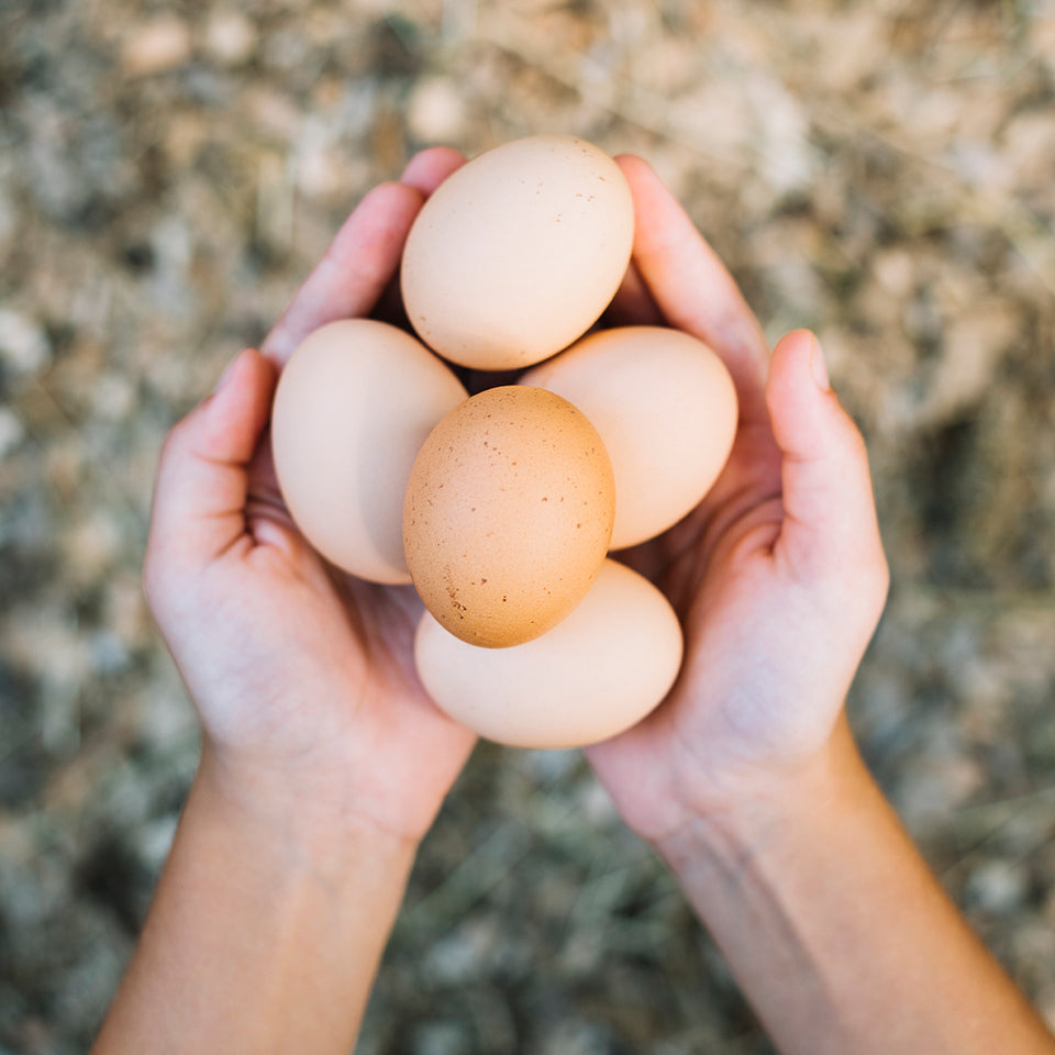 Hands holding five brown eggs