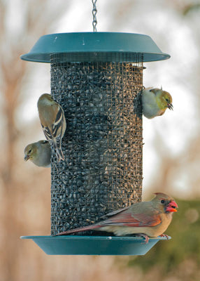 WoodLink Plastic Magnum Sunflower Screen Feeder