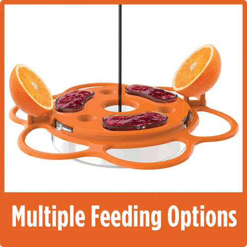 Nature's Way All-In-One Oriole Buffet Feeder