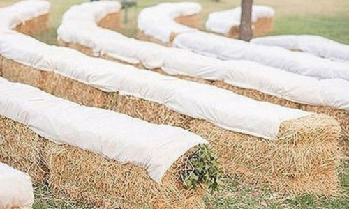 Rows of hay