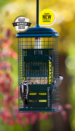 Brome Bird Care Squirrel Buster Suet