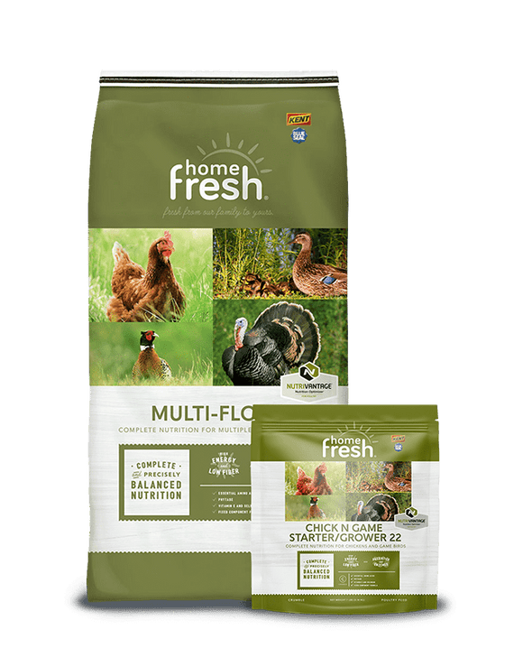 Home Fresh Multi-Flock Chick N Game Starter/Grower 22 Pellet