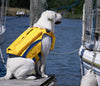 Bay Dog Monterey Bay Offshore Dog Lifejacket