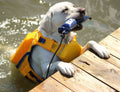 Bay Dog Monterey Bay Offshore Dog Lifejacket