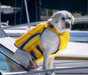 Bay Dog Monterey Bay Offshore Dog Lifejacket