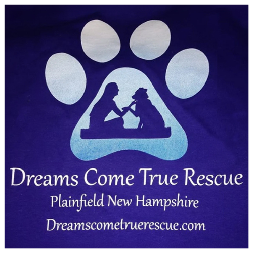 Dreams Come True Rescue logo