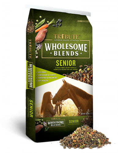 Tribute Wholesome Blends™ Senior