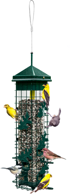 Brome Bird Care Squirrel Solution200 Squirrel-proof Bird Feeder w/6 Feeding Ports, 3.4-pound Seed Saver