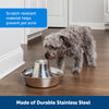 PetSafe Seaside Stainless Pet Fountain