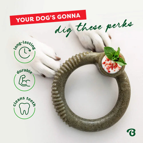 Benebone Peppermint Ring Limited Edition Durable Dog Chew Toy