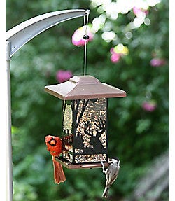 Perky-Pet® Wilderness Lantern Wild Bird Feeder