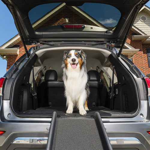 Petsafe Happy Ride™ Folding Dog Ramp