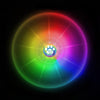 Nite Ize Flashflight Dog Discuit LED Flying Disc