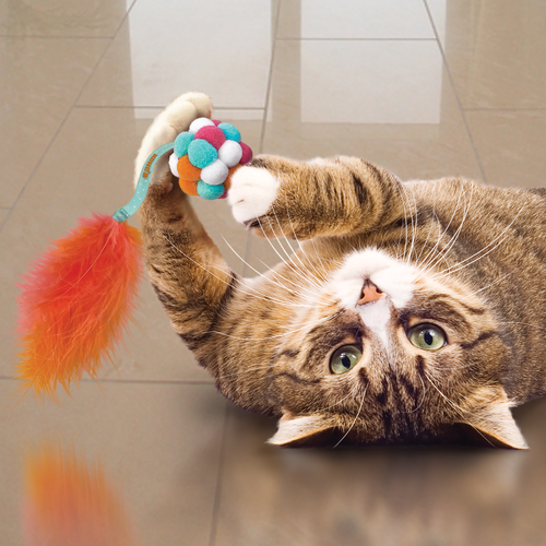 KONG Cat Active Bubble Ball Assorted Cat Toy