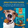 Wholesome Hound Just Chicken & Pumpkin Chips Dog Treats