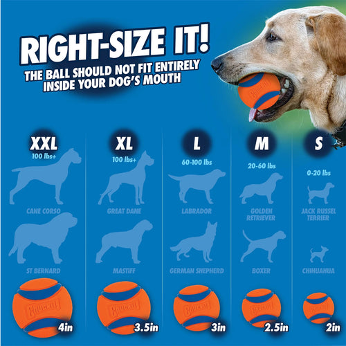 Chuckit! Bacon Sniff Fetch Ball Dog Toy