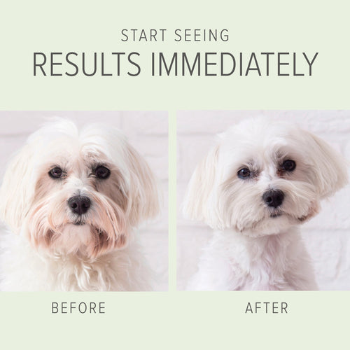 Pure and Natural Pet 2-IN-1 Whitening & Brightening Shampoo & Conditioner