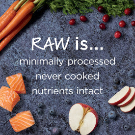 Nature's Variety Instinct Raw Boost Salmon Recipe Dry Cat Food