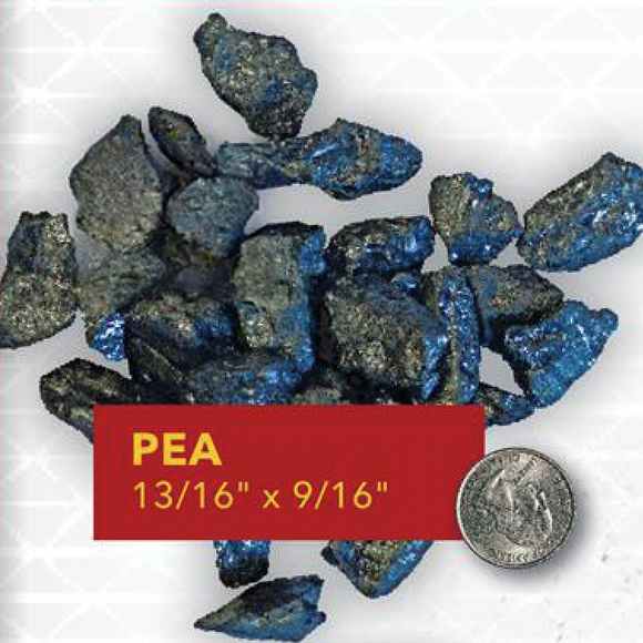 Blaschak Coal Pea Coal