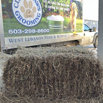 Hay & Bedding