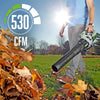 Ego POWER+ String Trimmer & 530CFM Blower Combo Kit with 2.5Ah Battery and Charger
