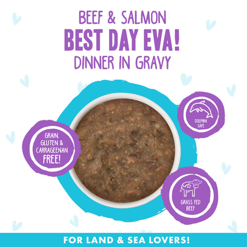 Weruva BFF Oh My Gravy Best Day Eva Grain Free Beef & Salmon in Gravy Canned Cat Food