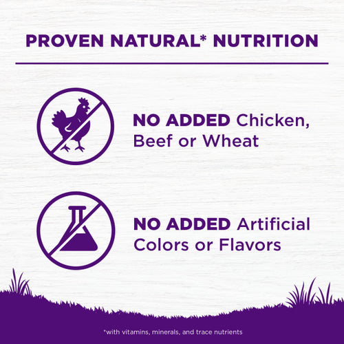 Wellness Complete Health Grain Sensitive Skin & Stomach Salmon & Rice Recipe Dog Food