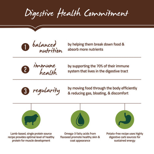 Holistic Select Natural Adult Health Lamb Meal Recipe Dry Dog Food